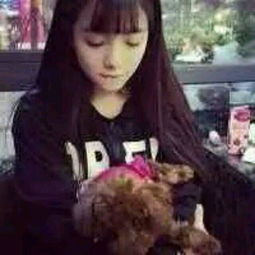 QQ个性装扮全攻略 从头像到签名的一站式灵感库